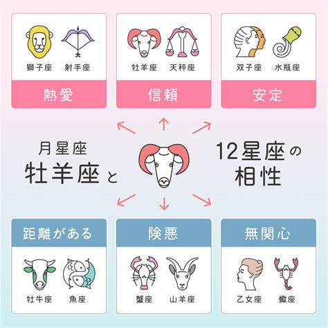 8月20星座|8月20日生日书（狮子座）